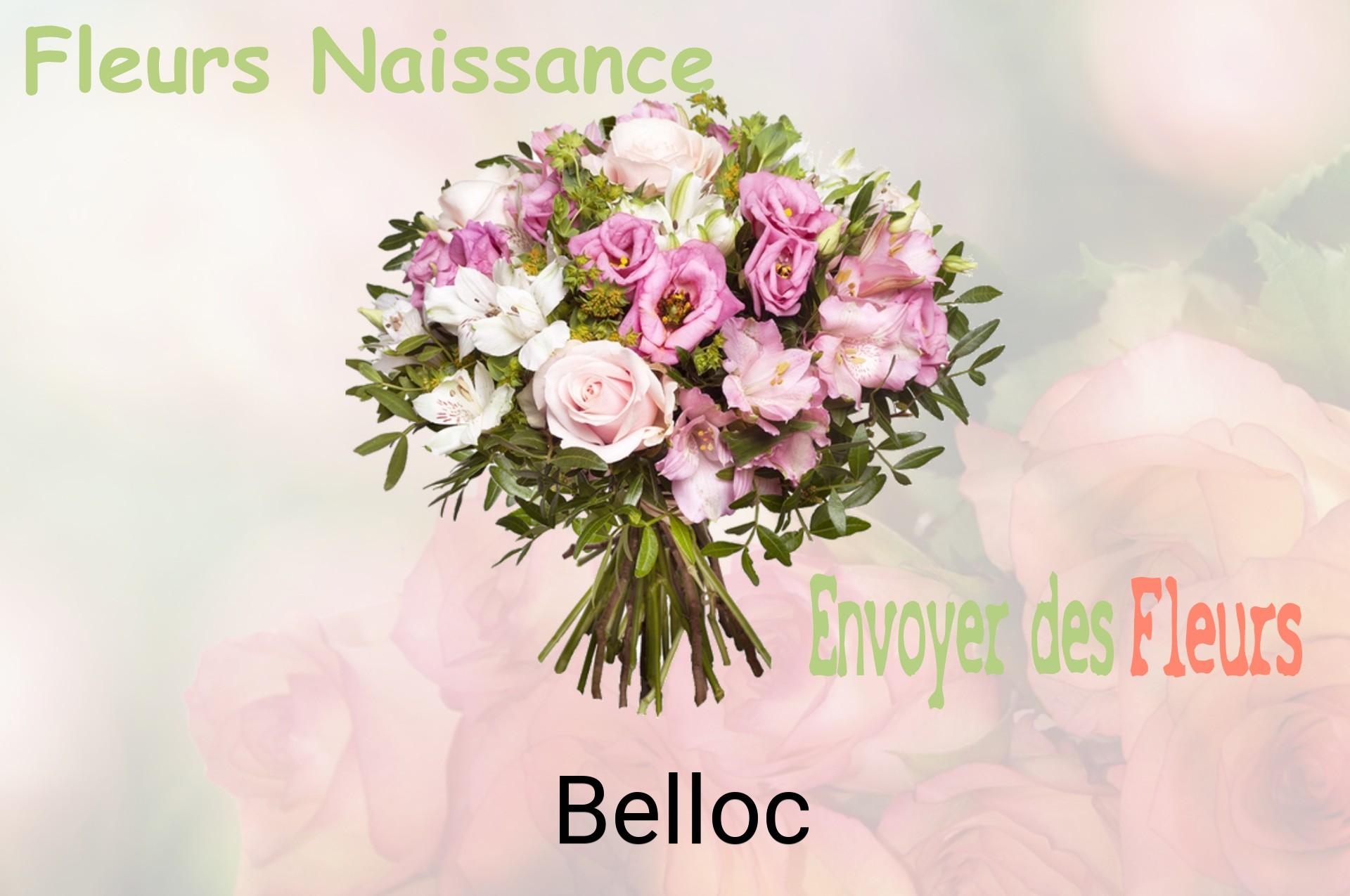 Bouquet de fleurs de naissance livré à Belloc