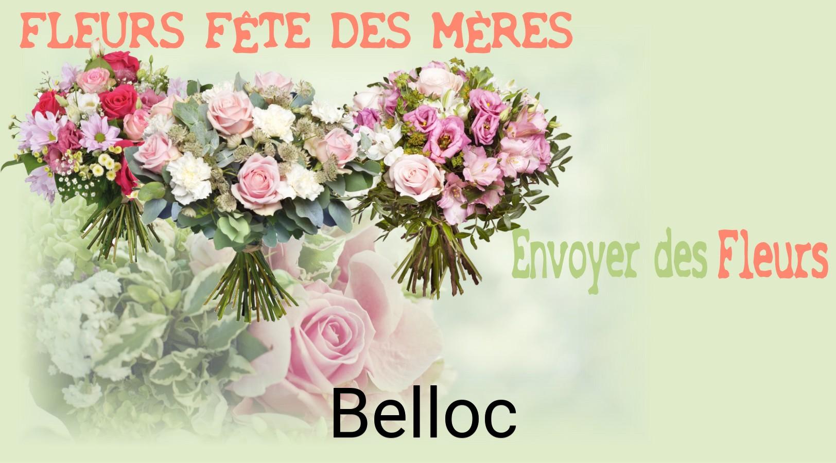 Bouquet de Fête des Mères livré à Belloc